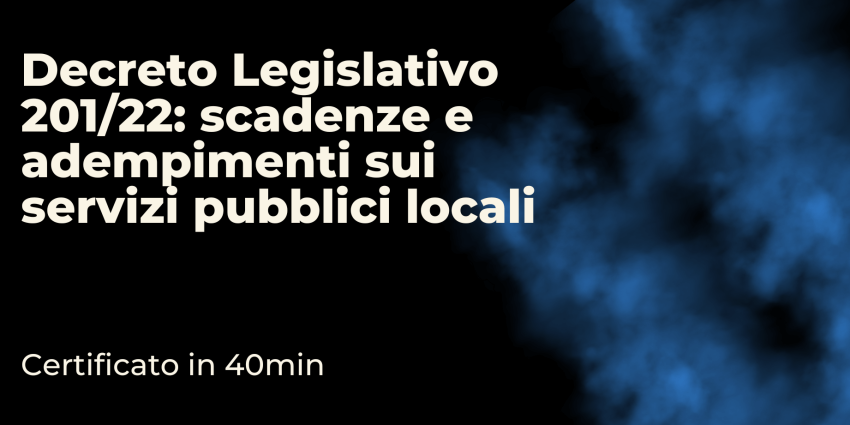 Decreto Legislativo 201/22