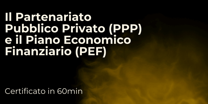 Il Partenariato Pubblico Privato (PPP) e il Piano Economico Finanziario (PEF)